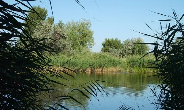 Uchastok "Delta Dona" Donskogo prirodnogo parka