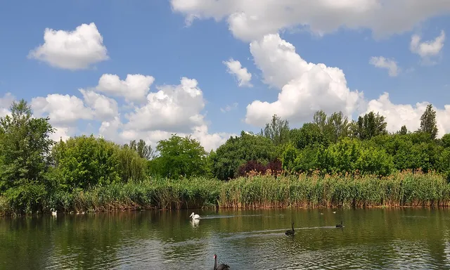Rostovskiy zoopark