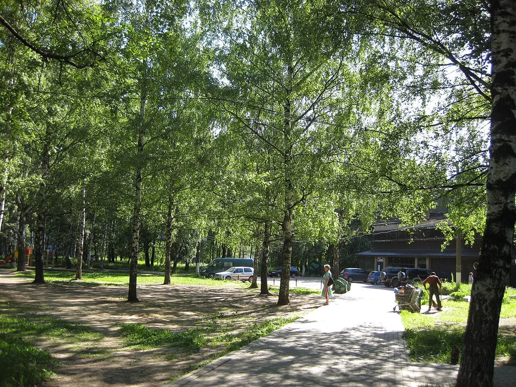 Park imeni A.S. Pushkina