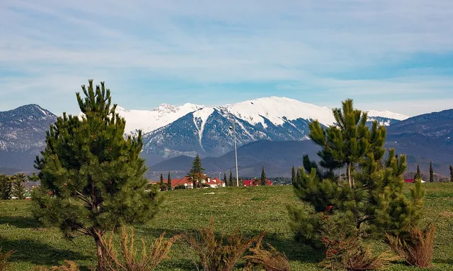 Prirodnyy ornitologicheskiy park v Imeretinskoy nizmennosti