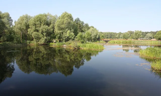 Horoshyovskiy Serebryanyy Bor