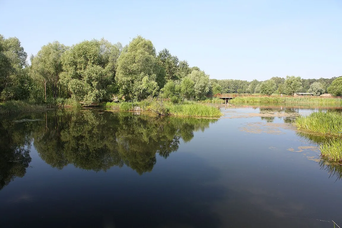 Horoshyovskiy Serebryanyy Bor