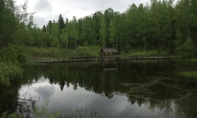 Tsentralno-Lesnoy gosudarstvennyy prirodnyy biosfernyy zapovednik