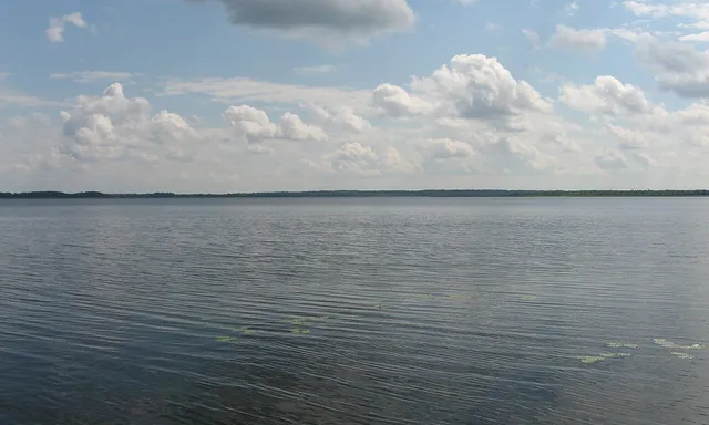 Seliger