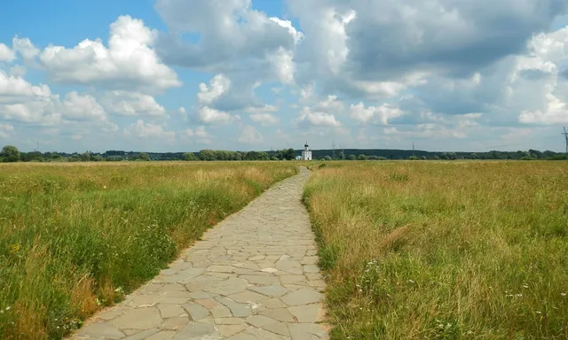 Bogolyubovsky Meadow