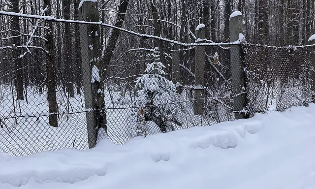 Bashkir Foresters Forest Park
