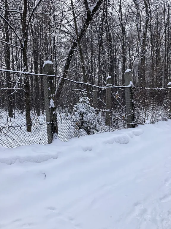 Bashkir Foresters Forest Park